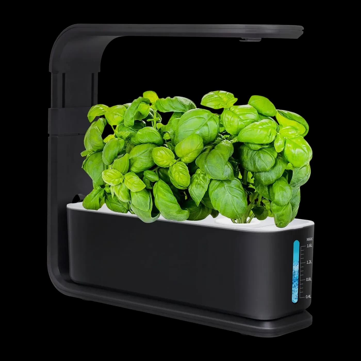 Desktop Teaching Kit, fully planted