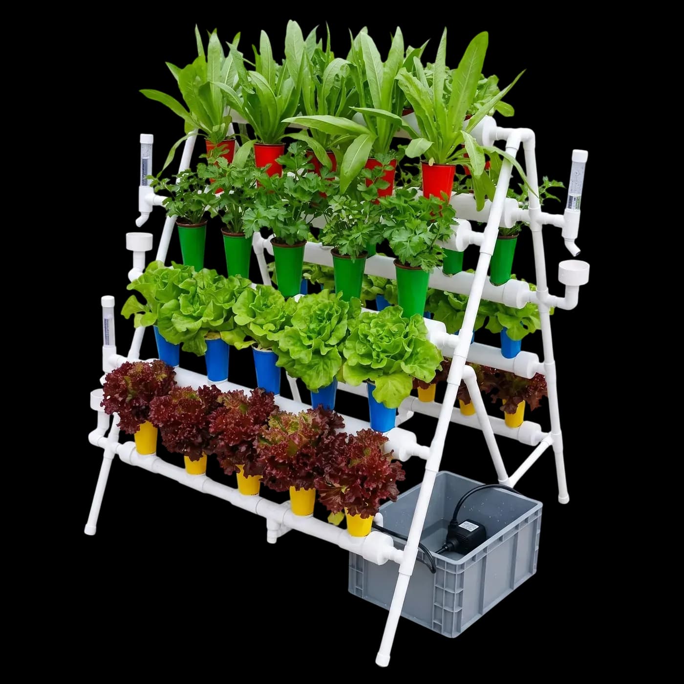 Ebb & Flow (Tidal Rack), fully planted