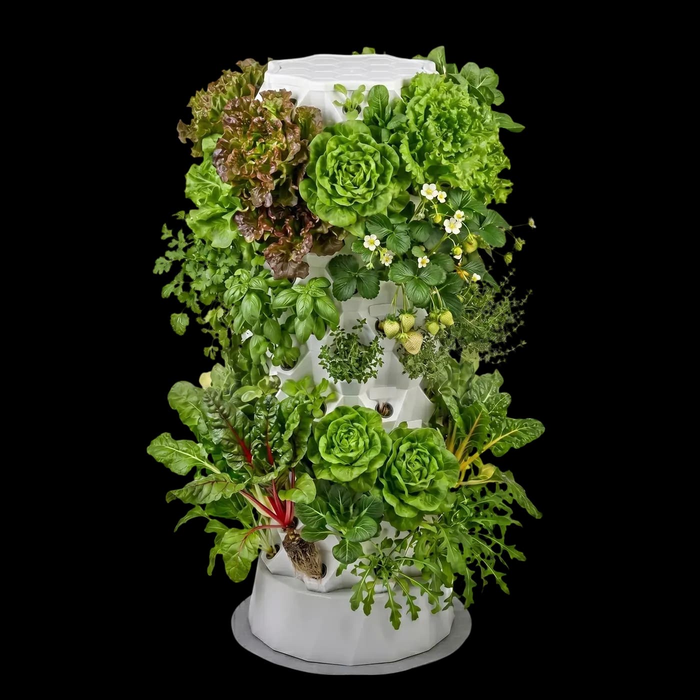 A planted aeroponic Pineapple tower — lettuce, chard, herbs and strawberries